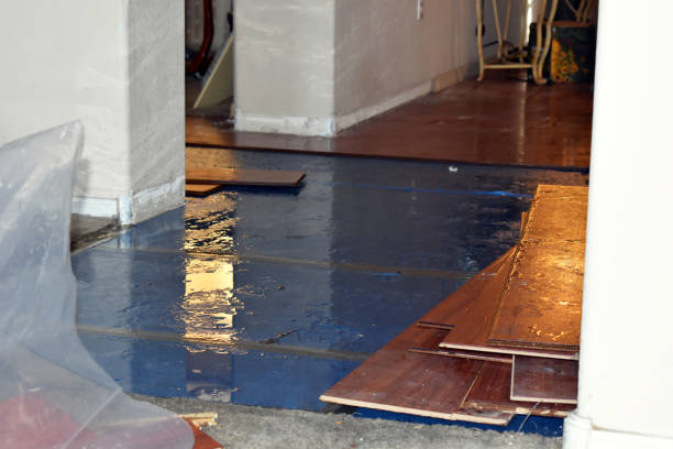 Professional Water Damage Restoration technician working in Westby, WI